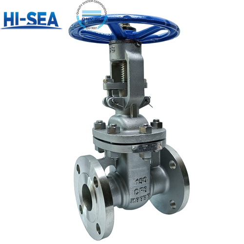 Stainless Steel Gate Valve ANSI DN150